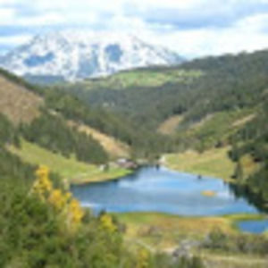 Meet your Posher, Gina